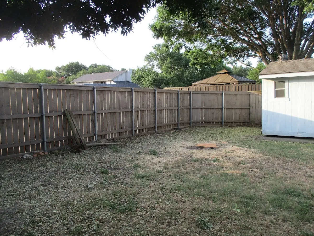 Cleared yard after professional tree removal in Glidden